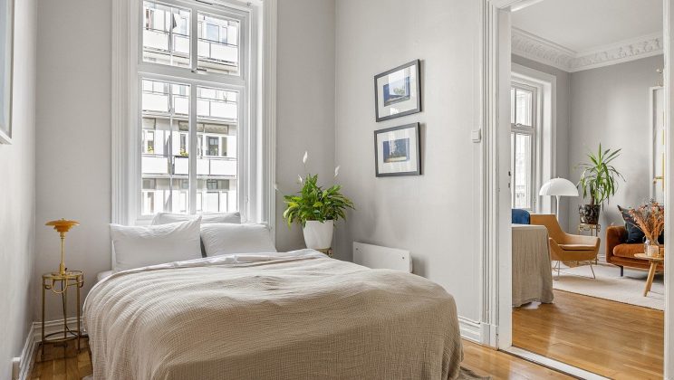 Plante pentru dormitor și nivelul de lumină